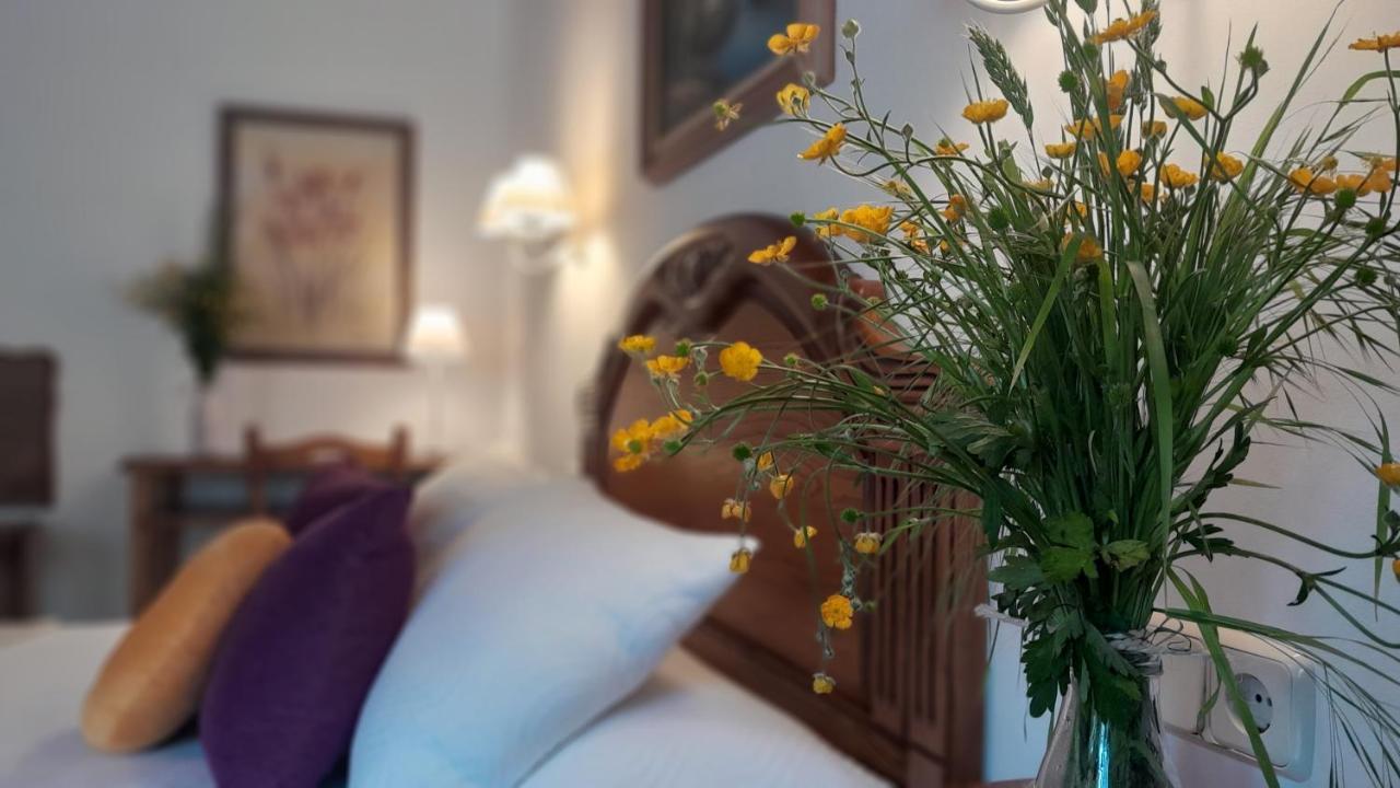 Apartamentos El Haya Cosgaya Zewnętrze zdjęcie